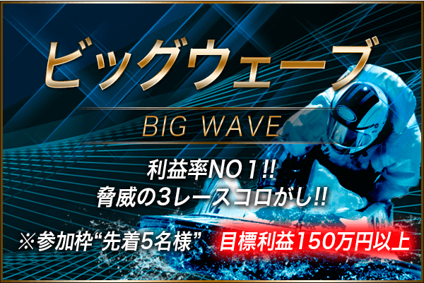 ビッグウェーブの詳細