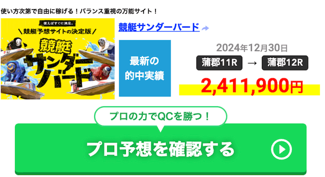 競艇サンダーバード　2024年12月30実績