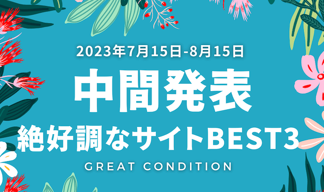 8月の中間発表　画像