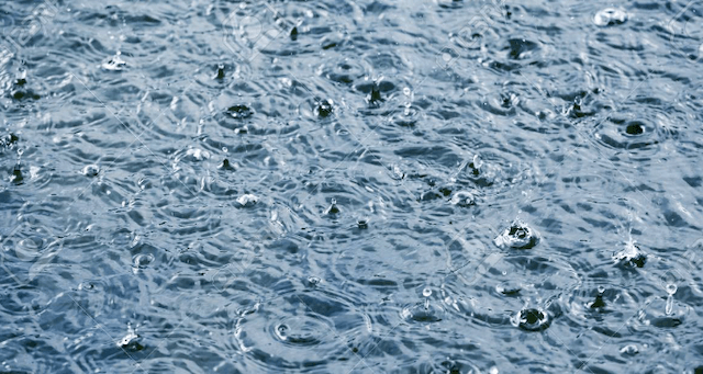 雨　画像