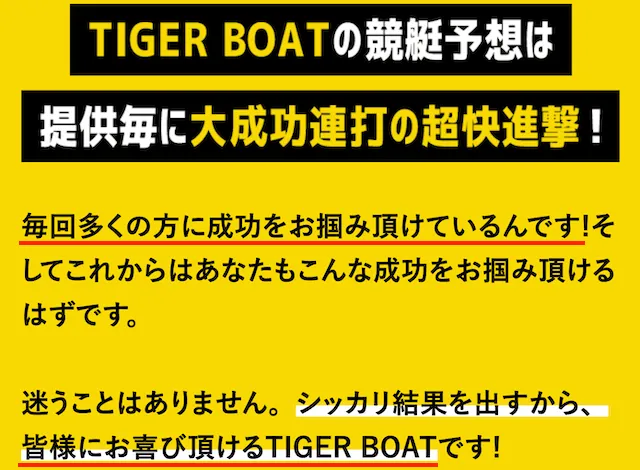 タイガーボート サイト内の文言