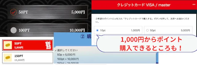 ボートコレクション ポイント購入