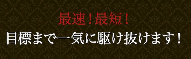アルティメットボート 特徴