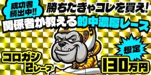 有料プラン画像