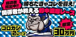 有料プラン画像