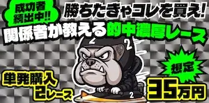 有料プラン画像