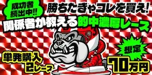 有料プラン画像